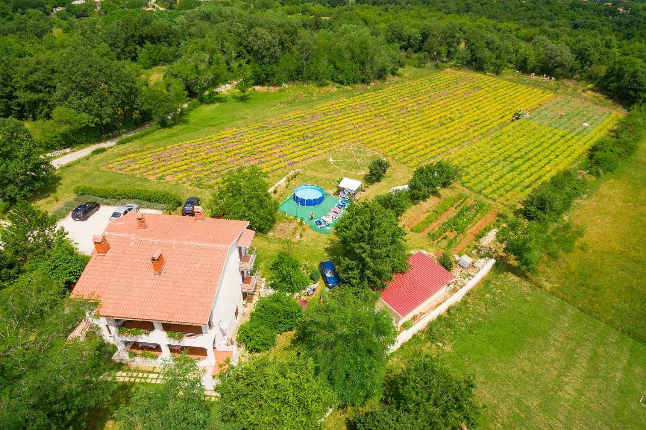 Nedeščina Apartments Valoda מראה חיצוני תמונה
