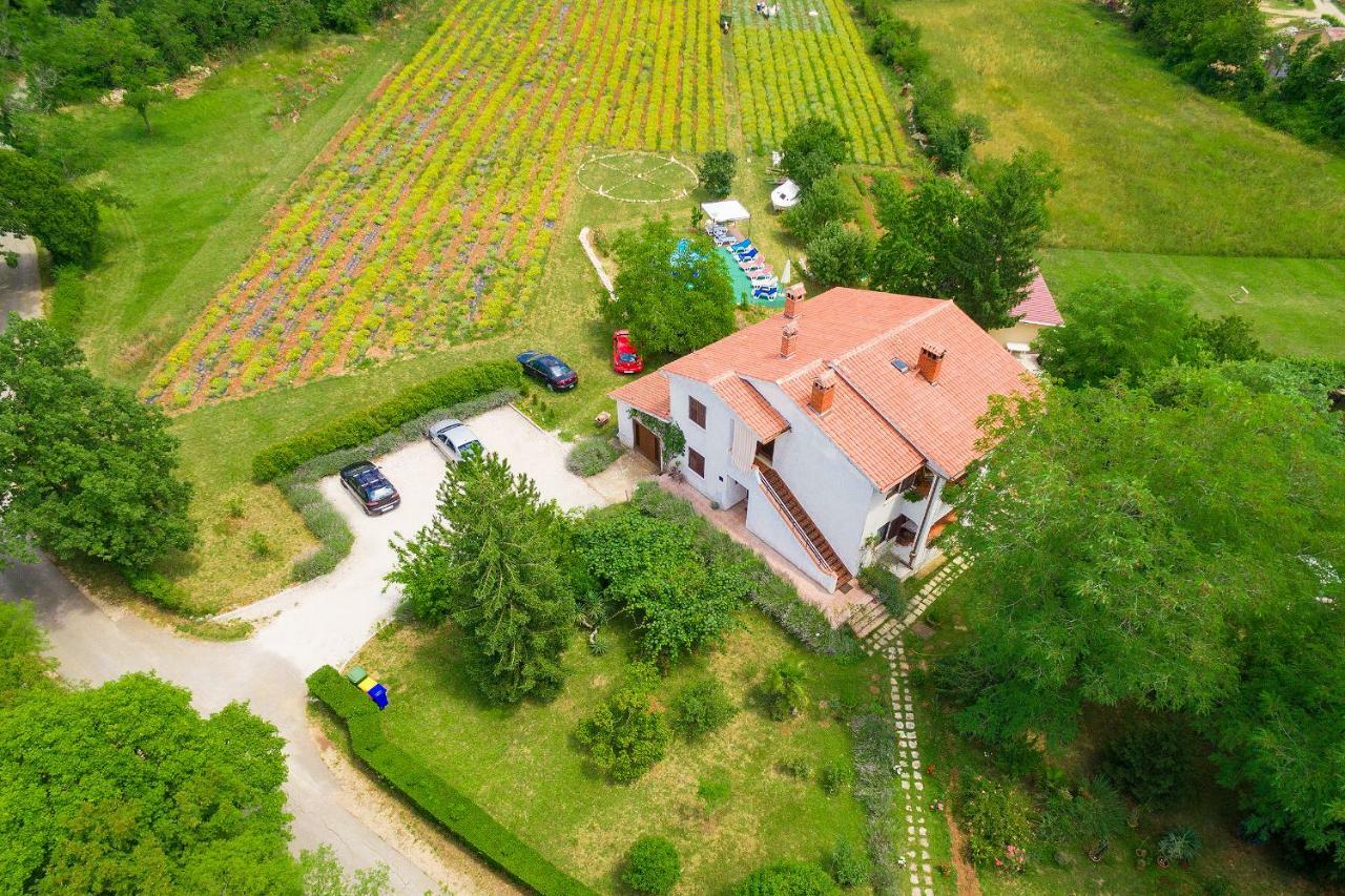 Nedeščina Apartments Valoda מראה חיצוני תמונה