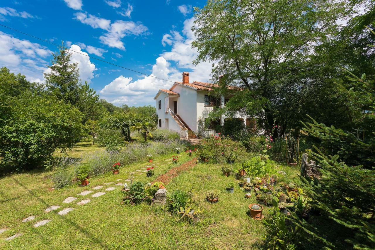 Nedeščina Apartments Valoda מראה חיצוני תמונה